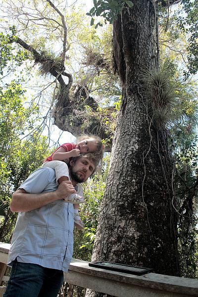 florid3341.JPG - Everglades Park