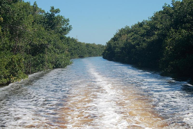 florid3352.JPG - Everglades Park