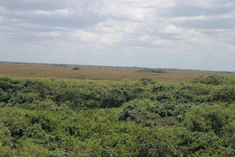 florid3367.JPG - Everglades Park