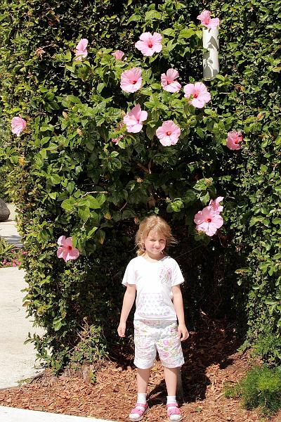 florid3396.JPG - Botanical Garden in Miami Beach