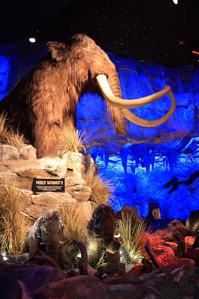 park4740.JPG - Restaurant T-Rex in Downtown Disney