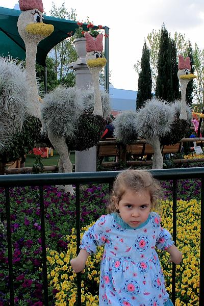 park4776.JPG - Epcot Theme Park