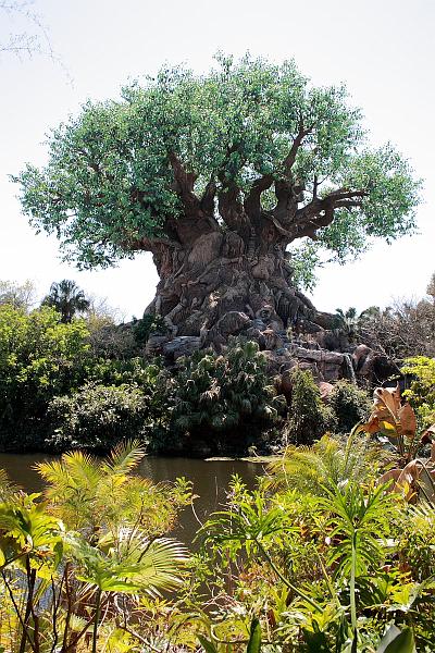 park4789.JPG - Animal Kingdom - Tree  of Life
