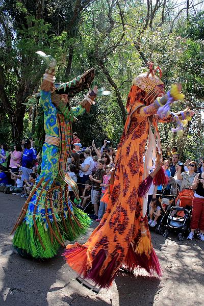 park4791.JPG - Jungle Parade in the Animal Kingdom