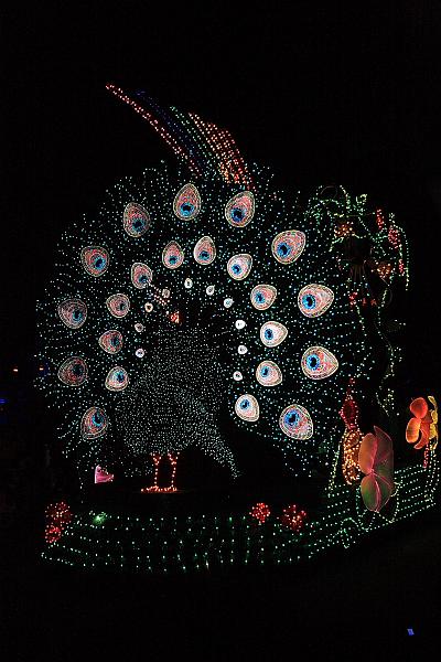 park4826.JPG - Night Parade in the Magic Kingdom