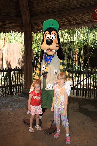 park4842.JPG - Character Greetings around  Animal Kingdom