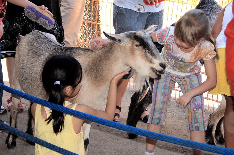 park4853.JPG - Rafiki's Planet in the Animal Kingdom