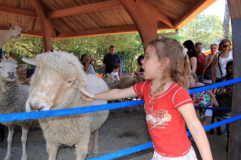 park4855.JPG - Rafiki's Planet in the Animal Kingdom