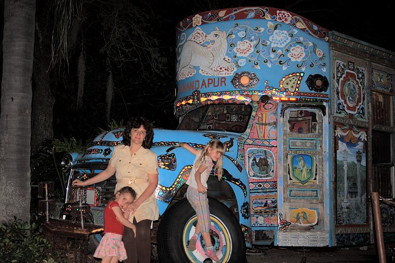 park4869.JPG - Animal Kingdom at Night