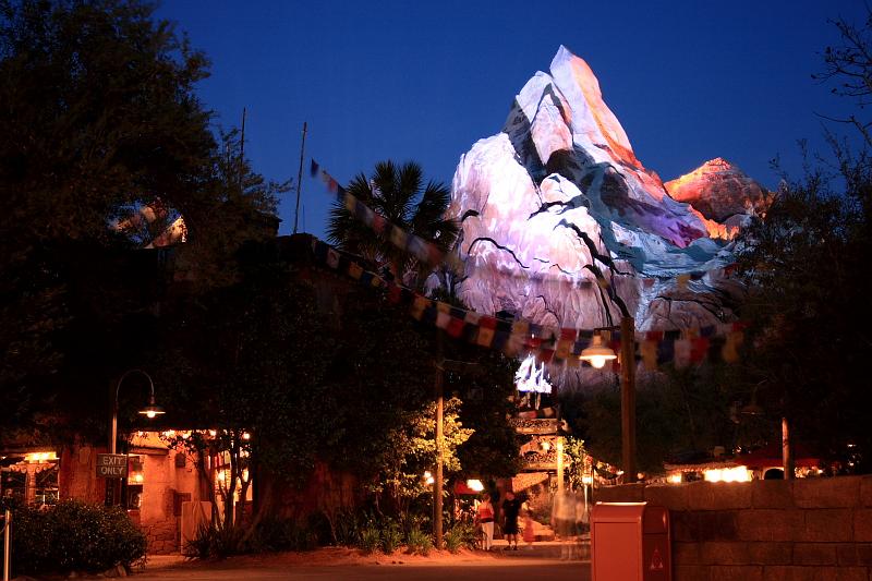 park4870.JPG - Animal Kingdom at Night