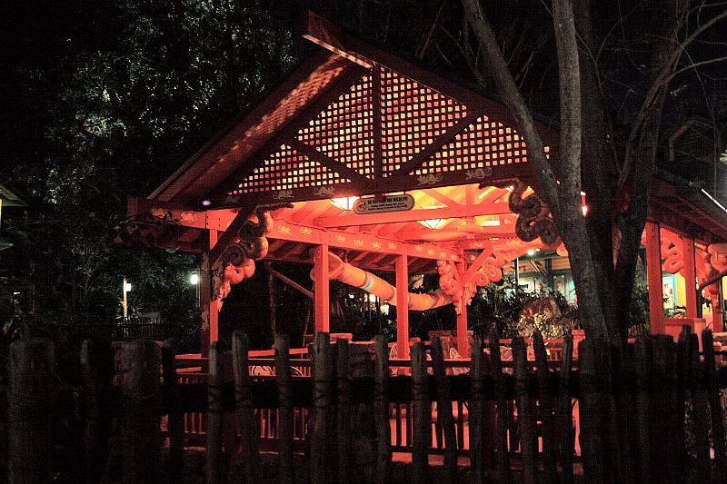 park4875.JPG - Animal Kingdom at Night