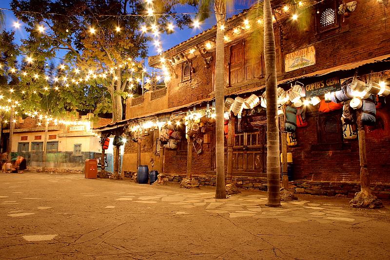 park4884.JPG - Animal Kingdom at Night