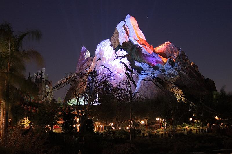 park4885.JPG - Animal Kingdom at Night
