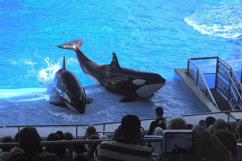 park4959.JPG - SeaWorld