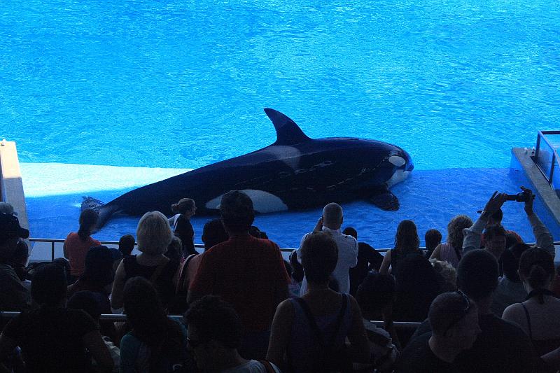 park4960.JPG - SeaWorld