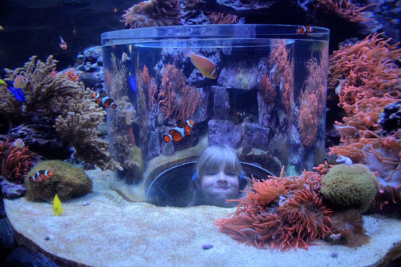 park4962.JPG - SeaWorld