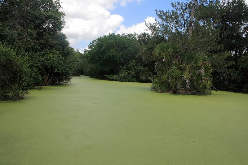 florida6739.JPG - Jungle Adventures Nature Park