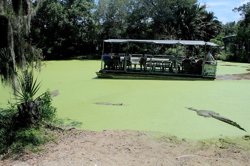 florida6745.JPG - Jungle Adventures Nature Park