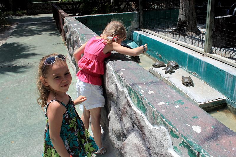 florida6746.JPG - Jungle Adventures Nature Park