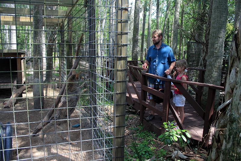 florida6753.JPG - Jungle Adventures Nature Park