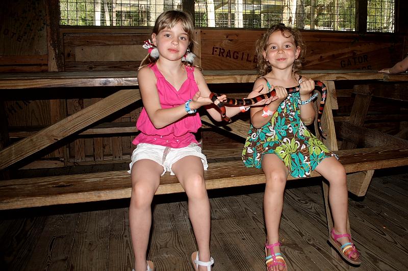 florida6758.JPG - Jungle Adventures Nature Park