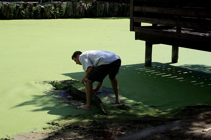 florida6764.JPG - Jungle Adventures Nature Park