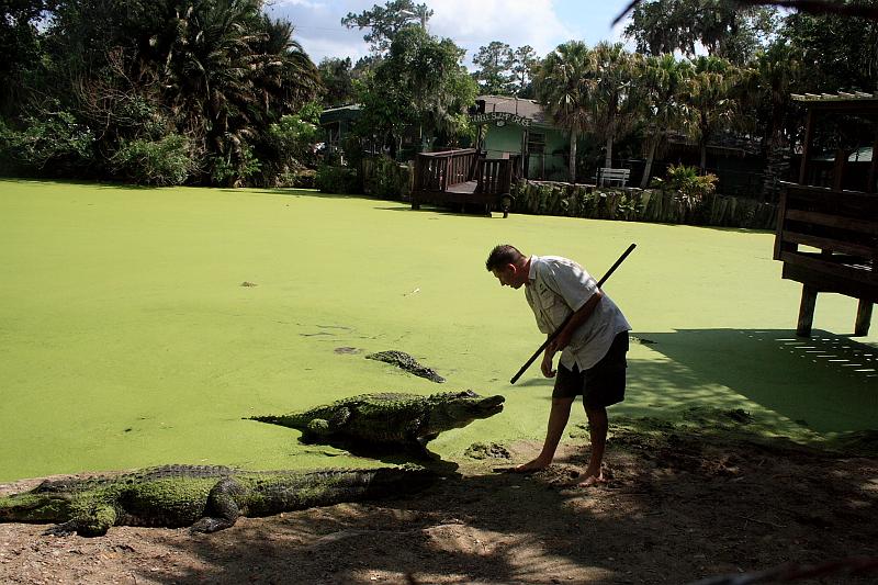 florida6765.JPG - Jungle Adventures Nature Park