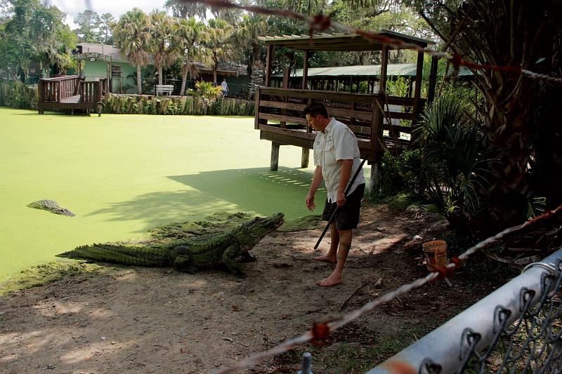 florida6766.JPG - Jungle Adventures Nature Park