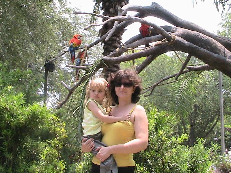 IMG_1228.jpg - Bush Gardens - Amusement park