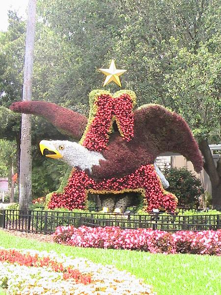 IMG_1236.jpg - Bush Gardens - Amusement park