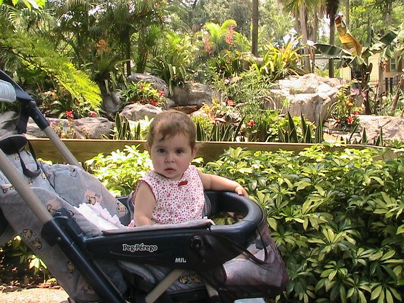 IMG_1237.jpg - Bush Gardens - Amusement park