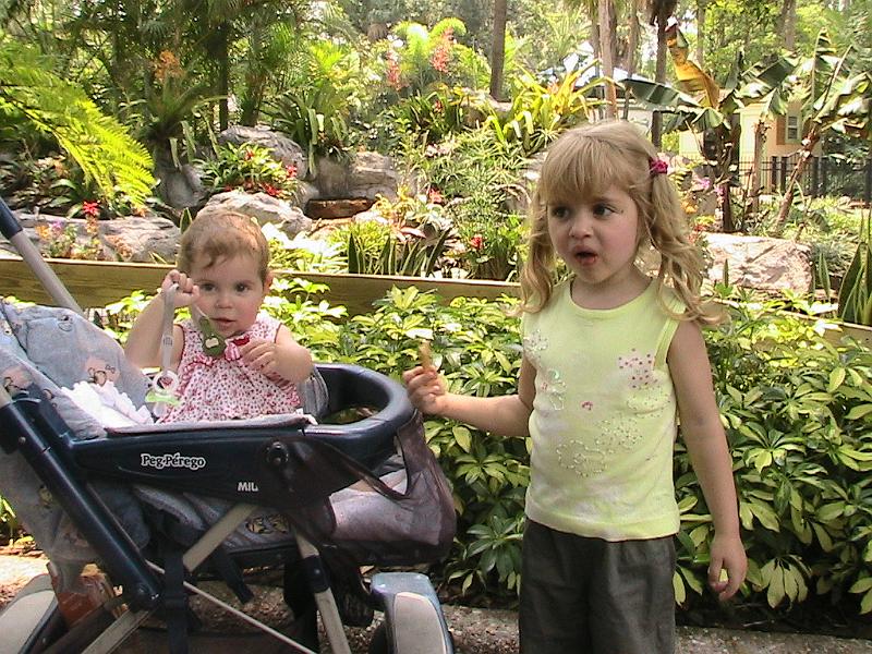 IMG_1240.jpg - Bush Gardens - Amusement park