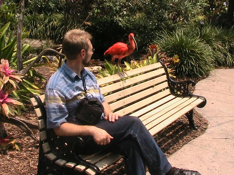 IMG_1245.jpg - Bush Gardens - Amusement park