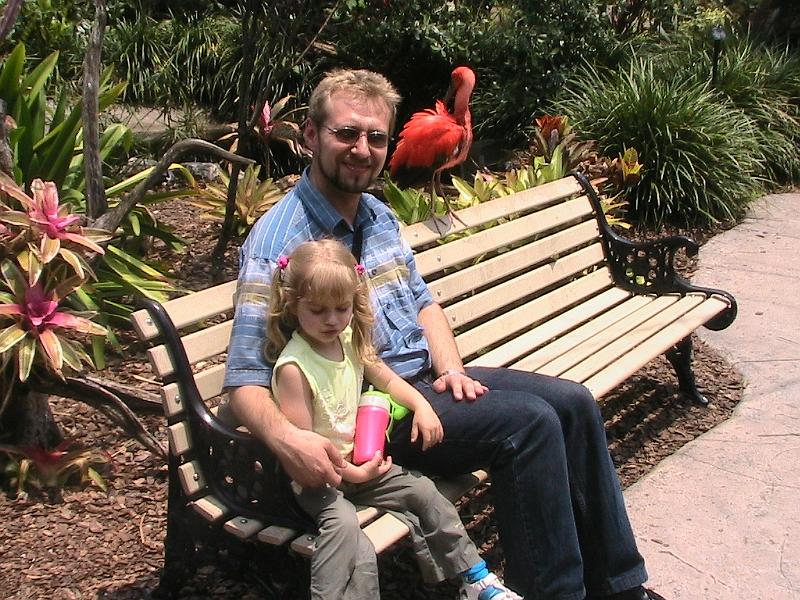 IMG_1247.jpg - Bush Gardens - Amusement park