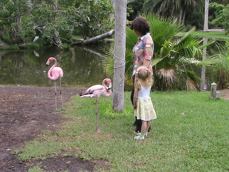 IMG_1309.jpg - Sarasota Zoo