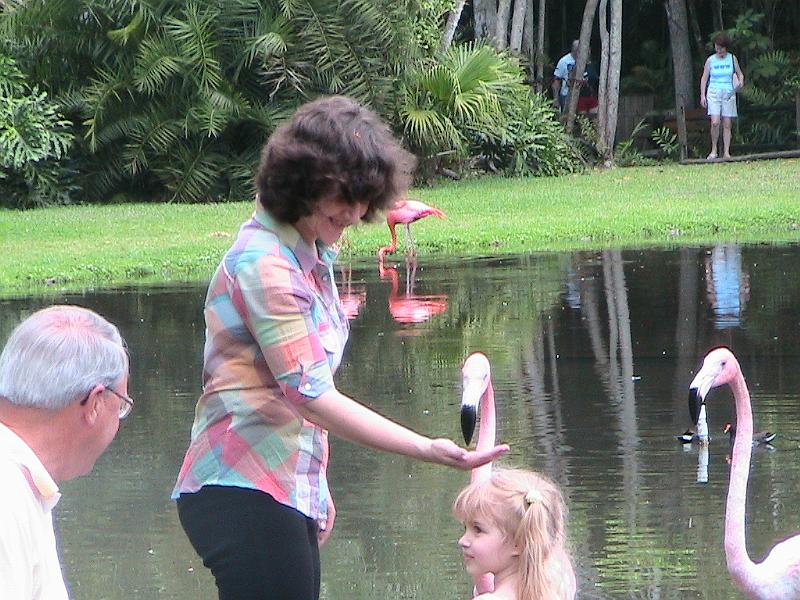 IMG_1314.jpg - Sarasota Zoo