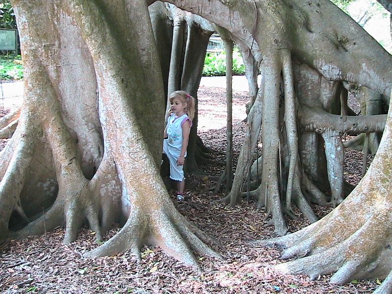 IMG_1352.jpg - Sarasota - Botanical Garden