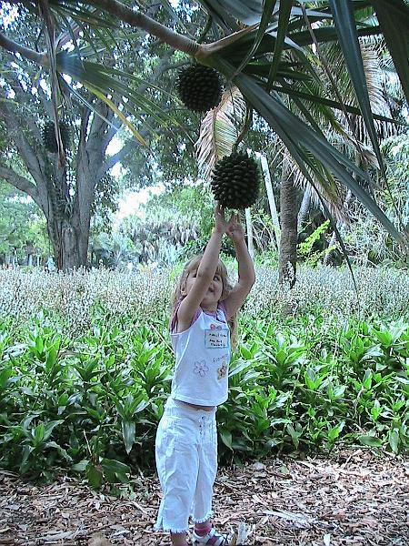 IMG_1394.jpg - Sarasota - Botanical Garden