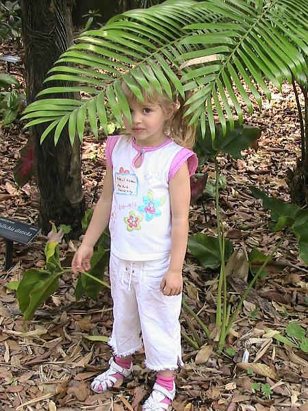 IMG_1405.jpg - Sarasota - Botanical Garden