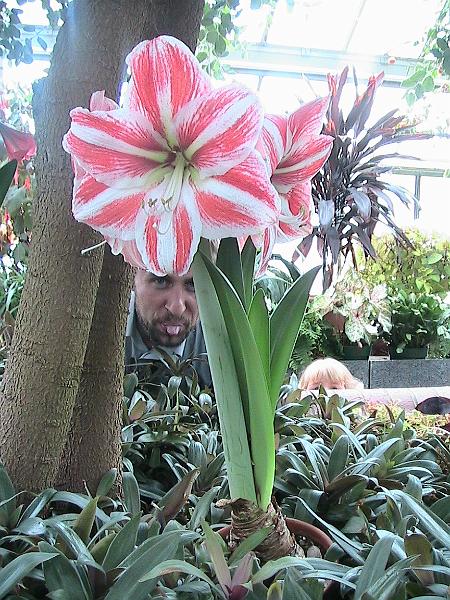 IMG_1524.jpg - Biltmore Estate - Gardens