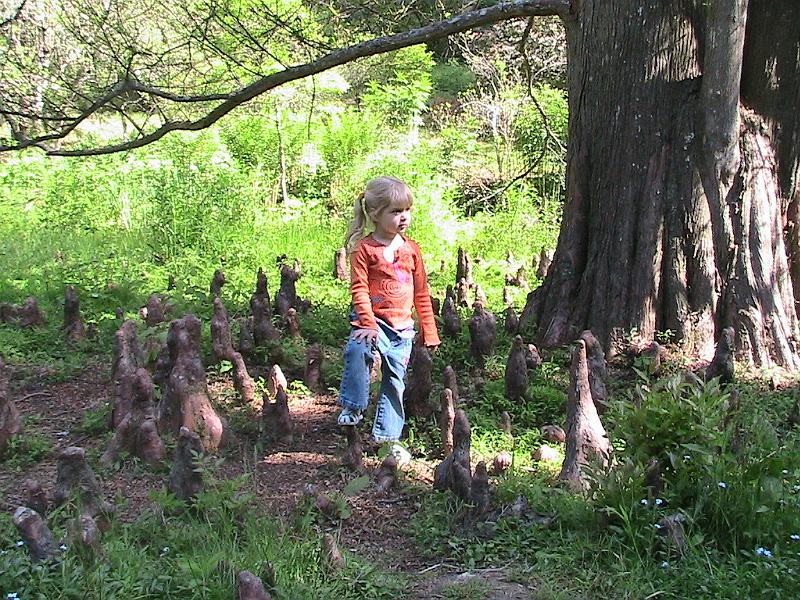 IMG_1536.jpg - Biltmore Estate - Gardens