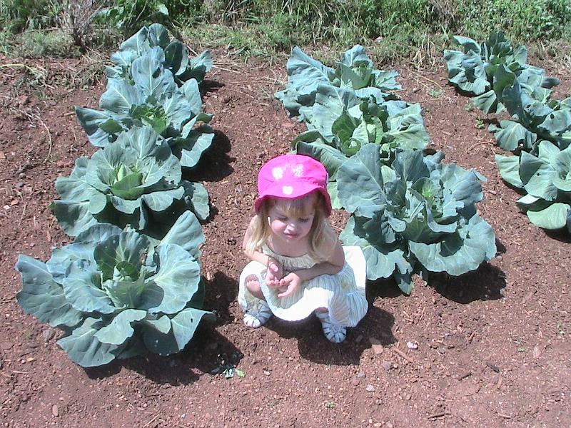 IMG_1544.jpg - Monticello