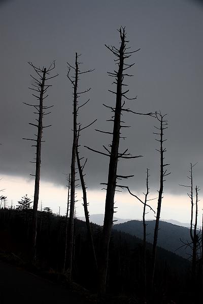 teness6775.JPG - Great Smoky Mountain National Park