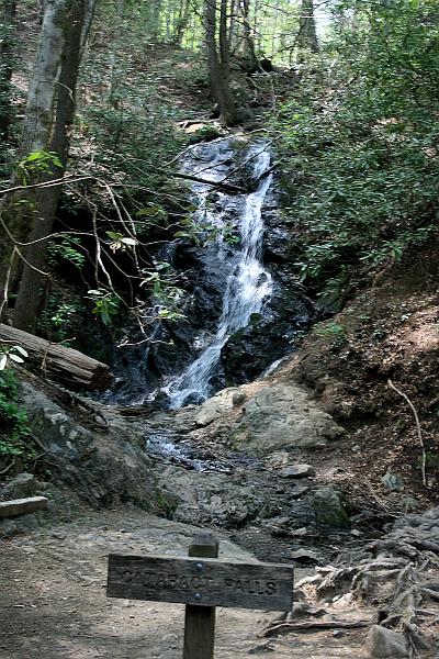teness6776.JPG - Great Smoky Mountain National Park