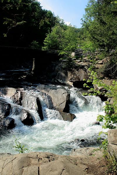 teness6777.JPG - Great Smoky Mountain National Park
