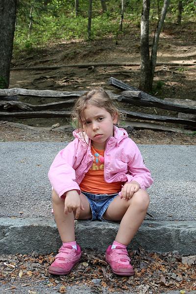 teness6780.JPG - Great Smoky Mountain National Park