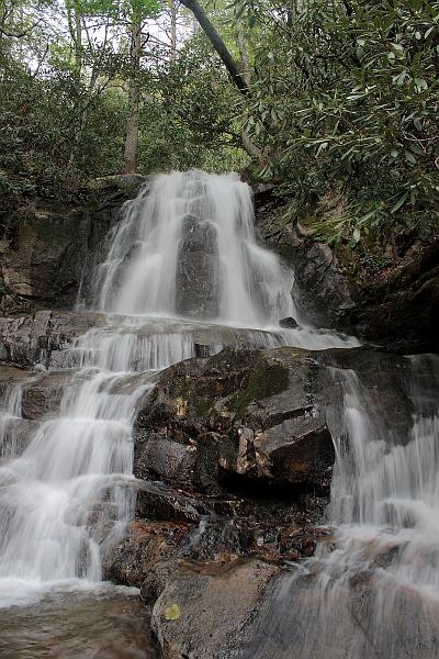 teness6783.JPG - Great Smoky Mountain National Park