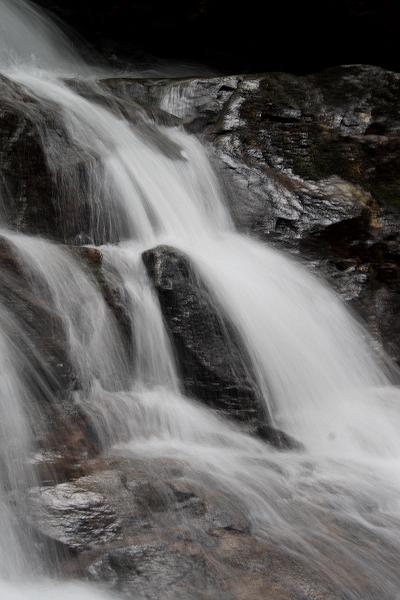 teness6785.JPG - Great Smoky Mountain National Park