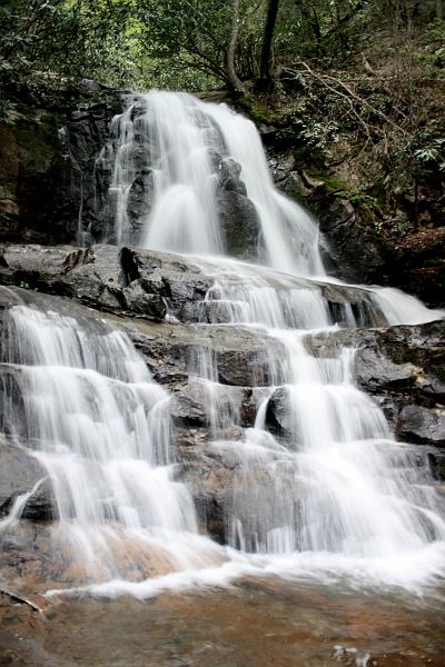 teness6787.JPG - Great Smoky Mountain National Park
