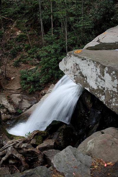 teness6788.JPG - Great Smoky Mountain National Park